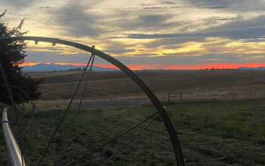 Picture of a sunset with a side roll wheel in view.