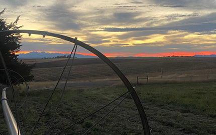 Picture of a sunset with a side roll wheel in view.