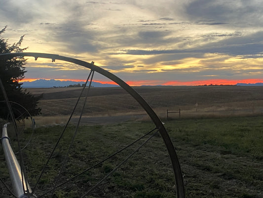 Picture of a sunset with a side roll wheel in view.