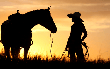 Cowgirl Soul: Bold Jewelry for the Free Spirit
