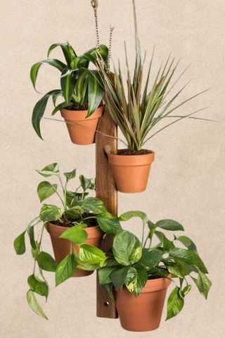 Garden Collection | Three Mad Hatters | Jackson, MS