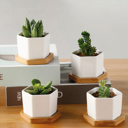 Succulent Planter -Small -Set of 3-  White OS 