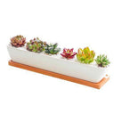 Succulent Planter-Long