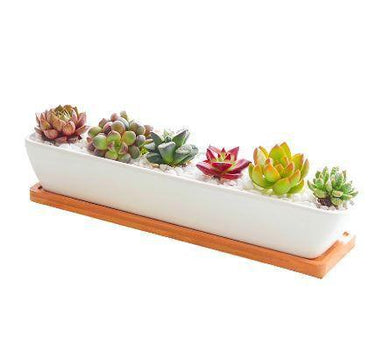 Succulent Planter-Long