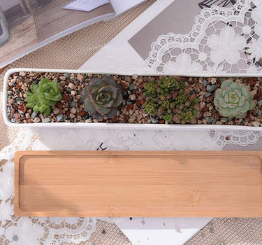 Succulent Planter-Long