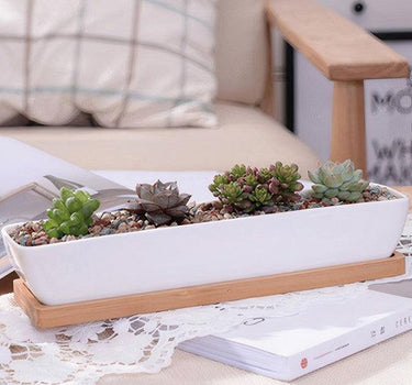 Succulent Planter-Long