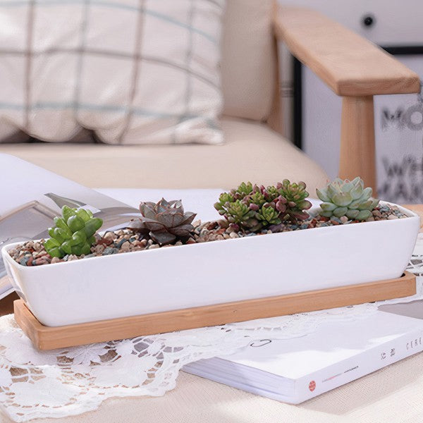 Succulent Planter-Long  White OS 