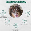 BeNat Pets. Artisanal Pet Shampoo Bar. Oat. 5.8 oz