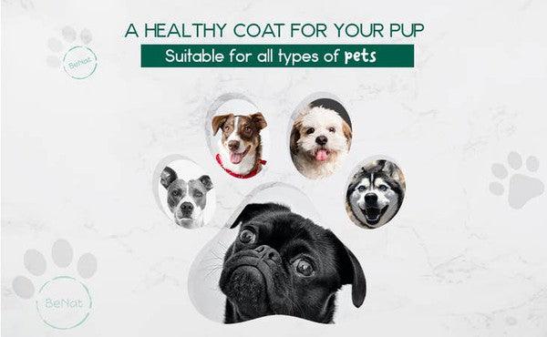 BeNat Pets. Artisanal Pet Shampoo Bar. Oat. 5.8 oz - Three Mad Hatters Mercantile 