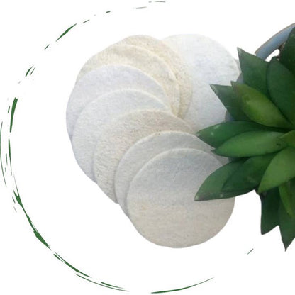 Natural Loofah Sponge Pads 5-pcs Loofah Sponge As shown One Size 