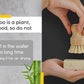 Bamboo Sisal Fiber Dish Brush Bamboo Dish Brush   