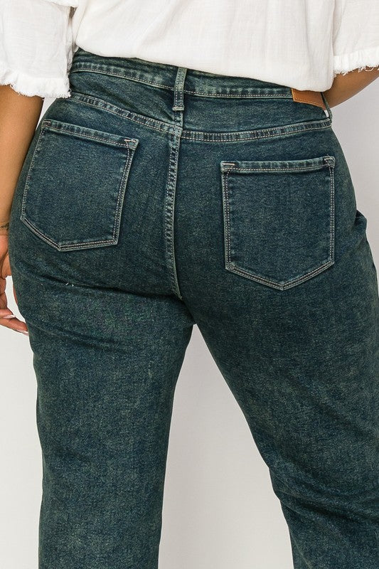 PLUS SIZE - HIGH RISE STRETCH STRAIGHT JEANS Straight Leg Jean   