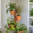6 Pot Hanging Plant Holder - 3 Piece Set