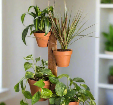 6 Pot Hanging Plant Holder - 3 Piece Set