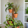 6 Pot Hanging Plant Holder - 3 Piece Set