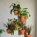 6 Pot Hanging Plant Holder - 3 Piece Set