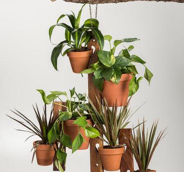 6 Pot Hanging Plant Holder - 3 Piece Set