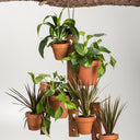 6 Pot Hanging Plant Holder - 3 Piece Set