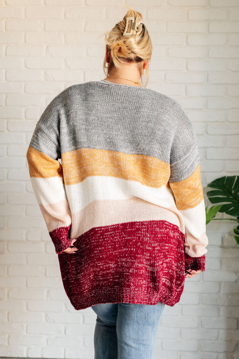 Bring the Warmth Color Block Cardigan Layers   