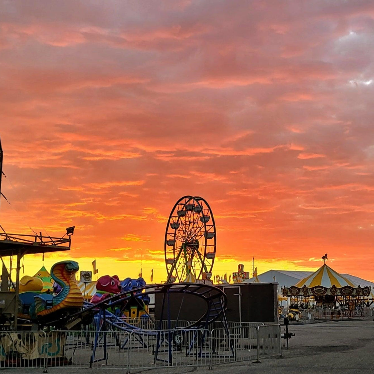 Cheyenne Frontier Days Cavas Print - Three Mad Hatters Mercantile 