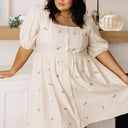 Dream a Little Dream Embroidered Dress