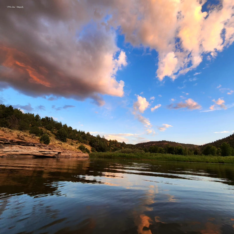 Evening At The Swimming Hole Canvas Print Canvas Art (Prints) 16x20  