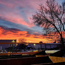 Good Morning From The Yard