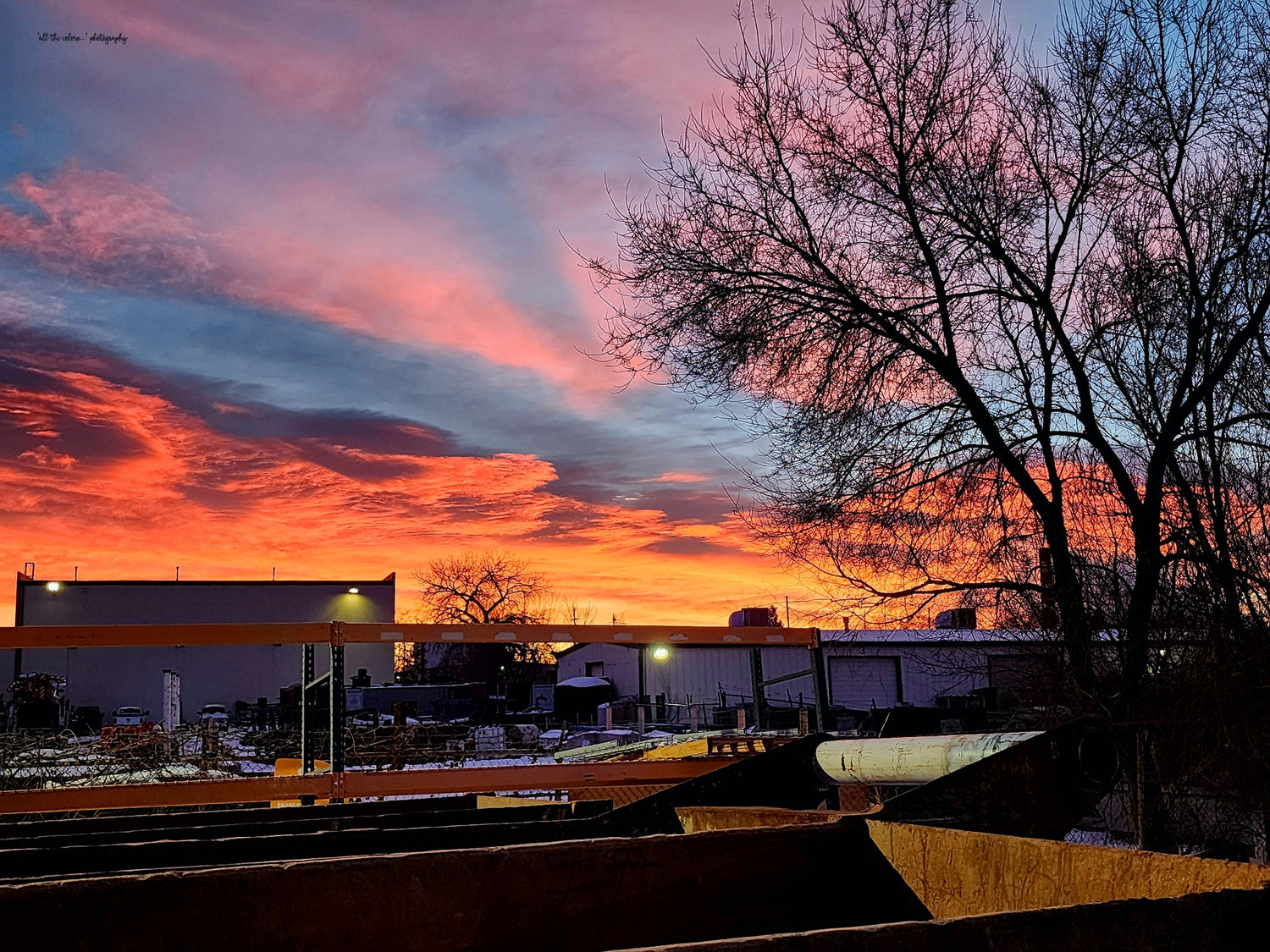 Good Morning From The Yard Canvas Art (Prints) 16x20  