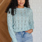 Hole In One Sheer Pointelle Knit Sweater Womens Tops   