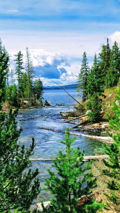 Jenny Lake Grand Tetons Canvas Print Canvas Art (Prints) 16x20  