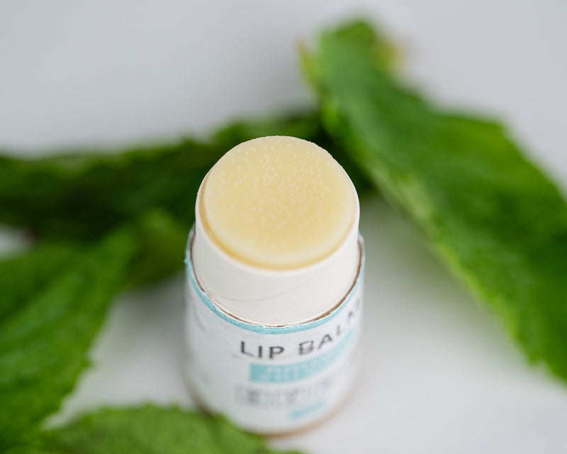 Lip Balm Bundle ($30 Value) Natural Beauty   