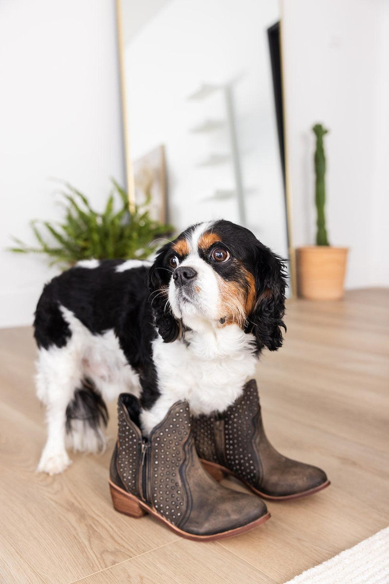 Nailed It Ankle Boot in Black - Three Mad Hatters Mercantile 