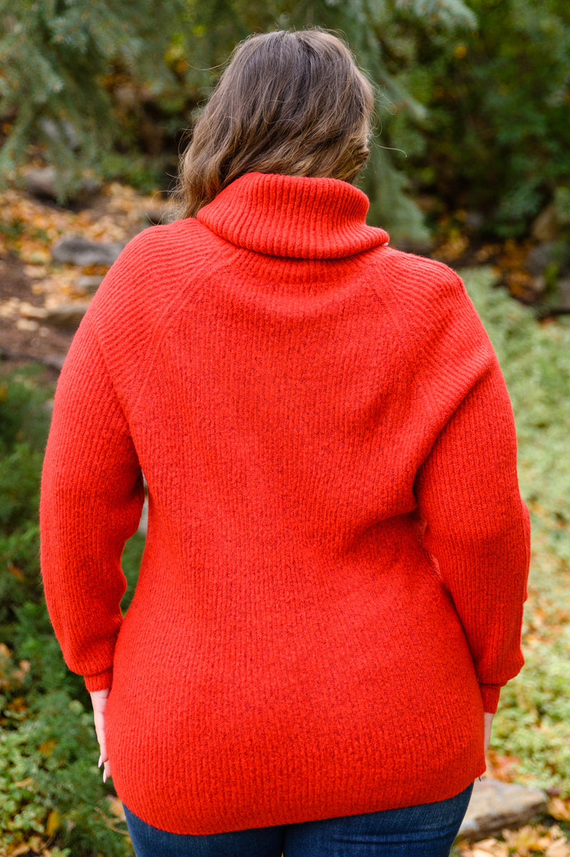 Steady Pace Roll Neck Sweater In Red Womens