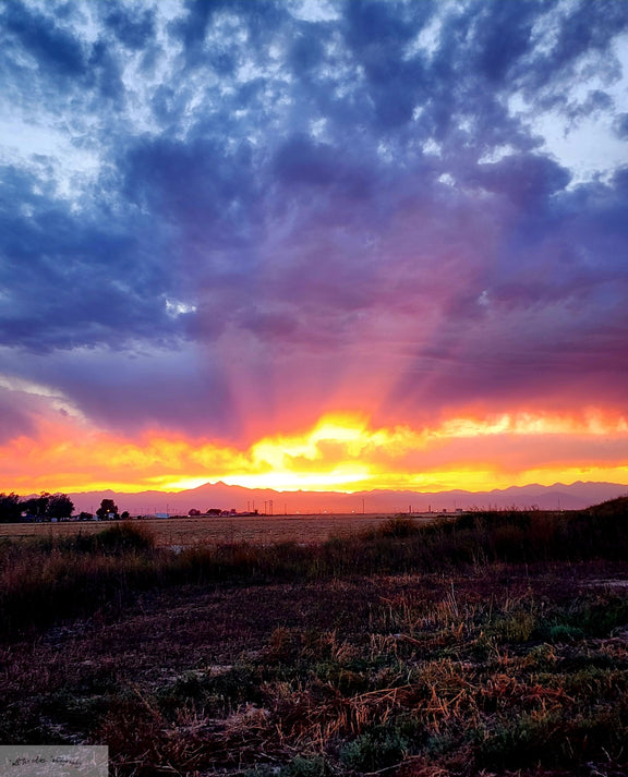 Sunset In The Foothills Canvas Print Canvas Art (Prints) 16x20  