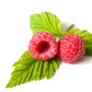 Raspberry Ketone Vitamins   