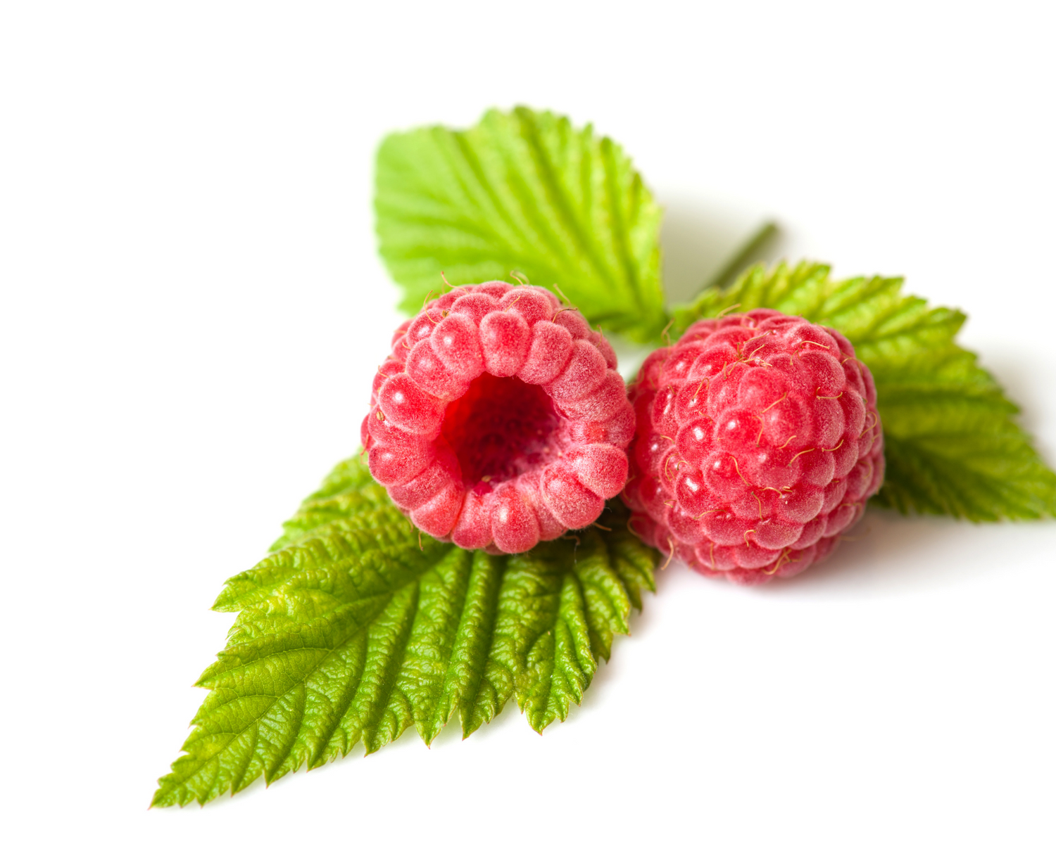 Raspberry Ketone Vitamins   