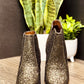 Fiera Booties in Bronze Shoes   