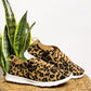 Mayo Sneaker In Leopard Shoes   