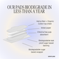 Organic Pads with Wings - Regular Absorbency Organic Pads   