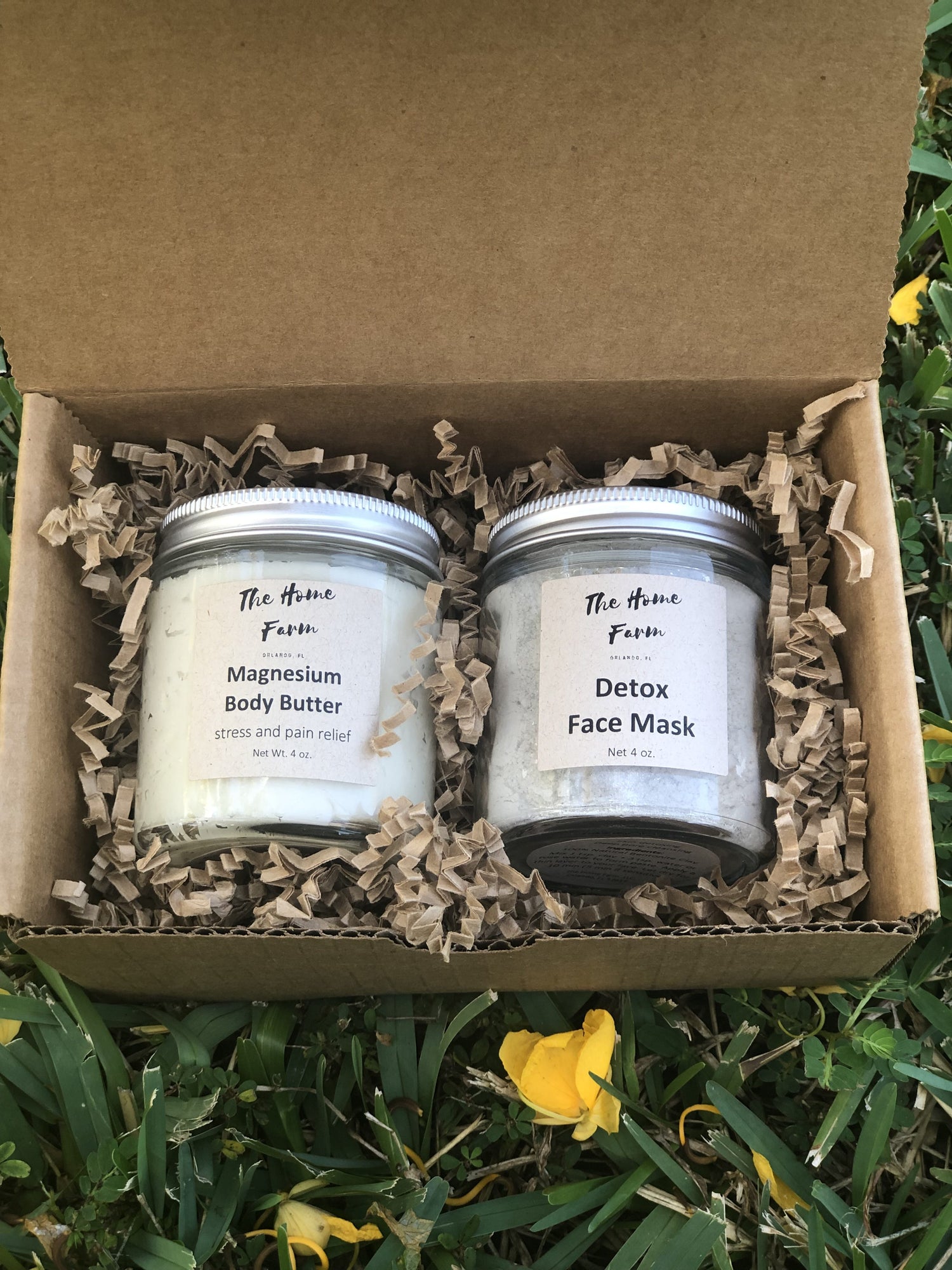Detox Face Mask Face Mask   