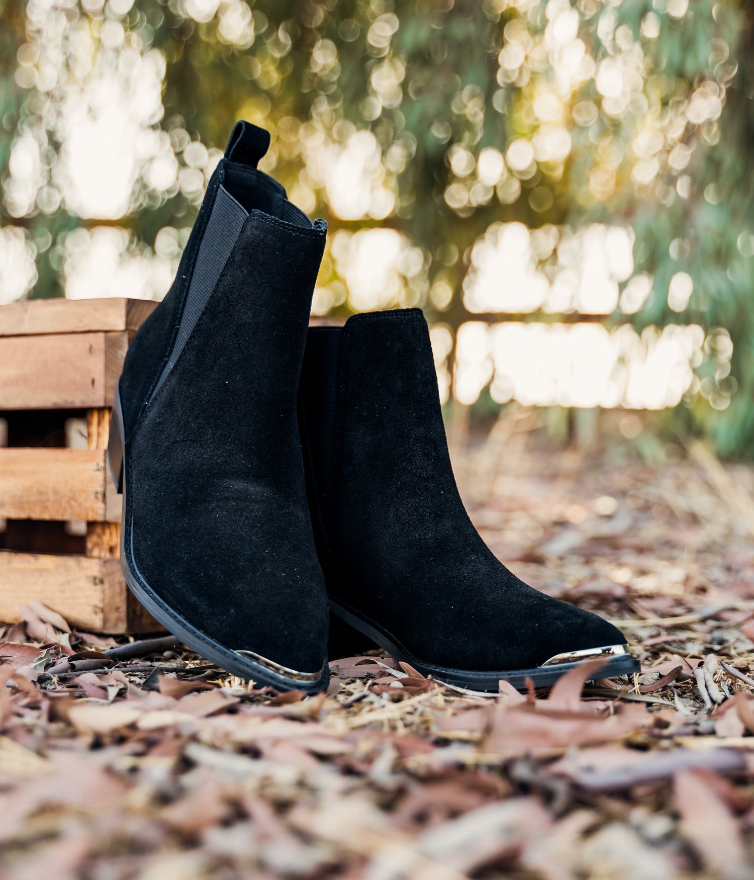 Wylie Suede Ankle Boot in Black Shoes