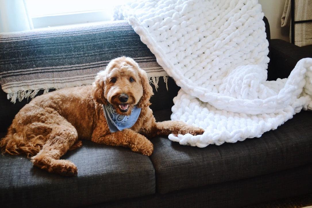 Chunky Knit Blanket in White - Three Mad Hatters Mercantile 
