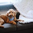 Chunky Knit Blanket in White