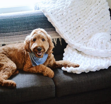 Chunky Knit Blanket in White