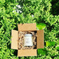 Magnesium Body Butter Magnesium Body Butter   